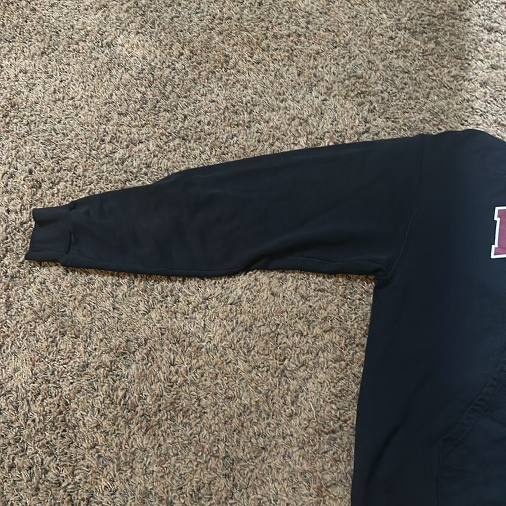 Champion - Picture 2 of 3